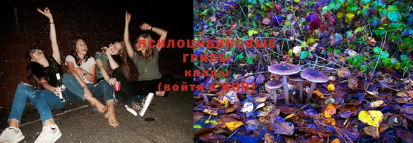 винт Алексеевка